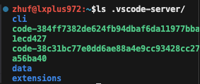 vscode-server